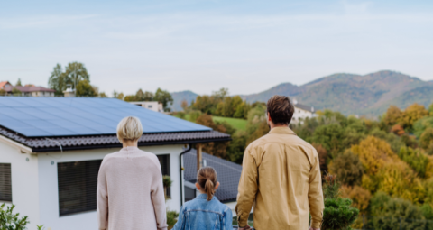 Baisse des prix des panneaux solaires